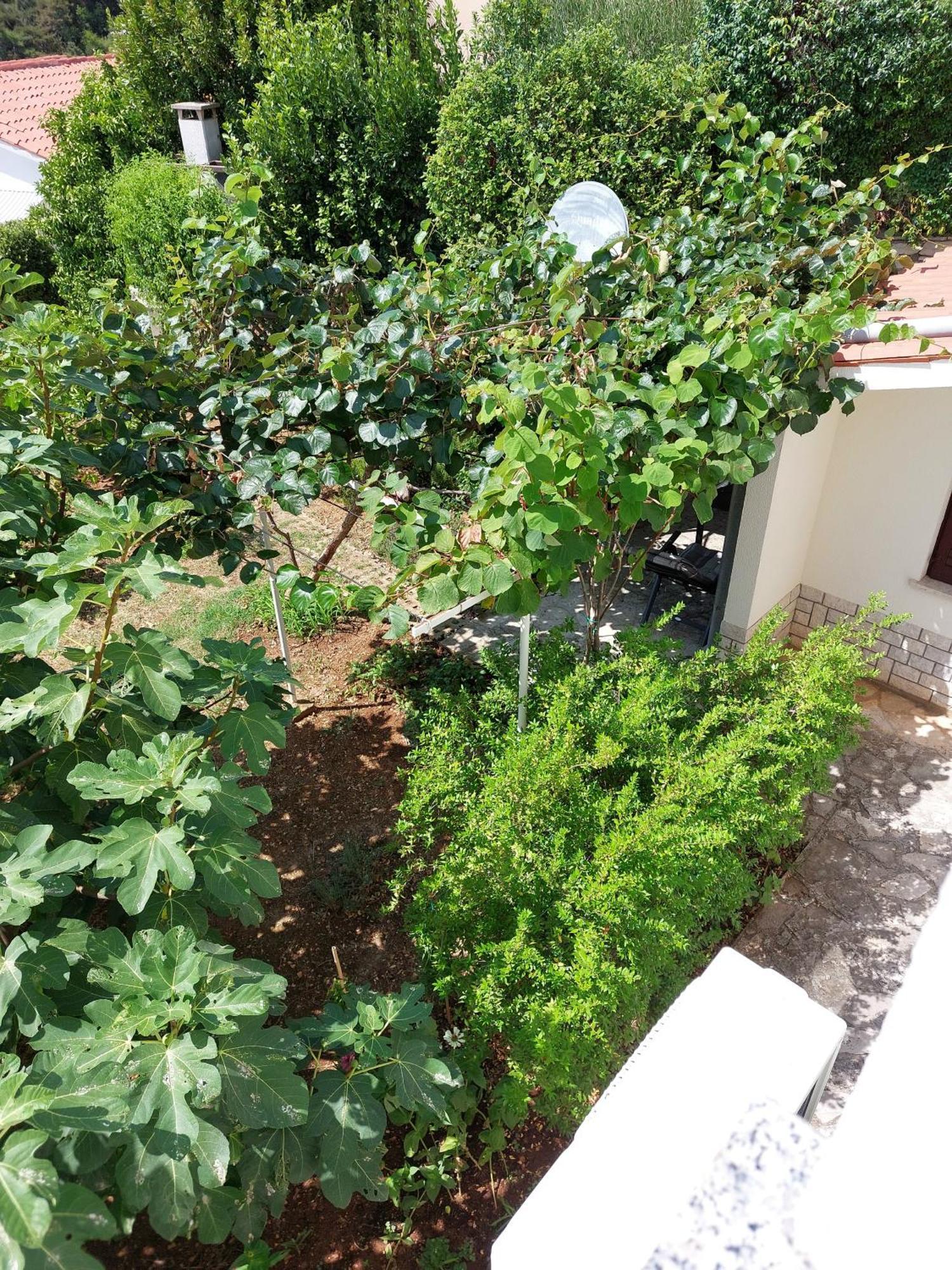 Apartment Kiwi ราบัซ ภายนอก รูปภาพ